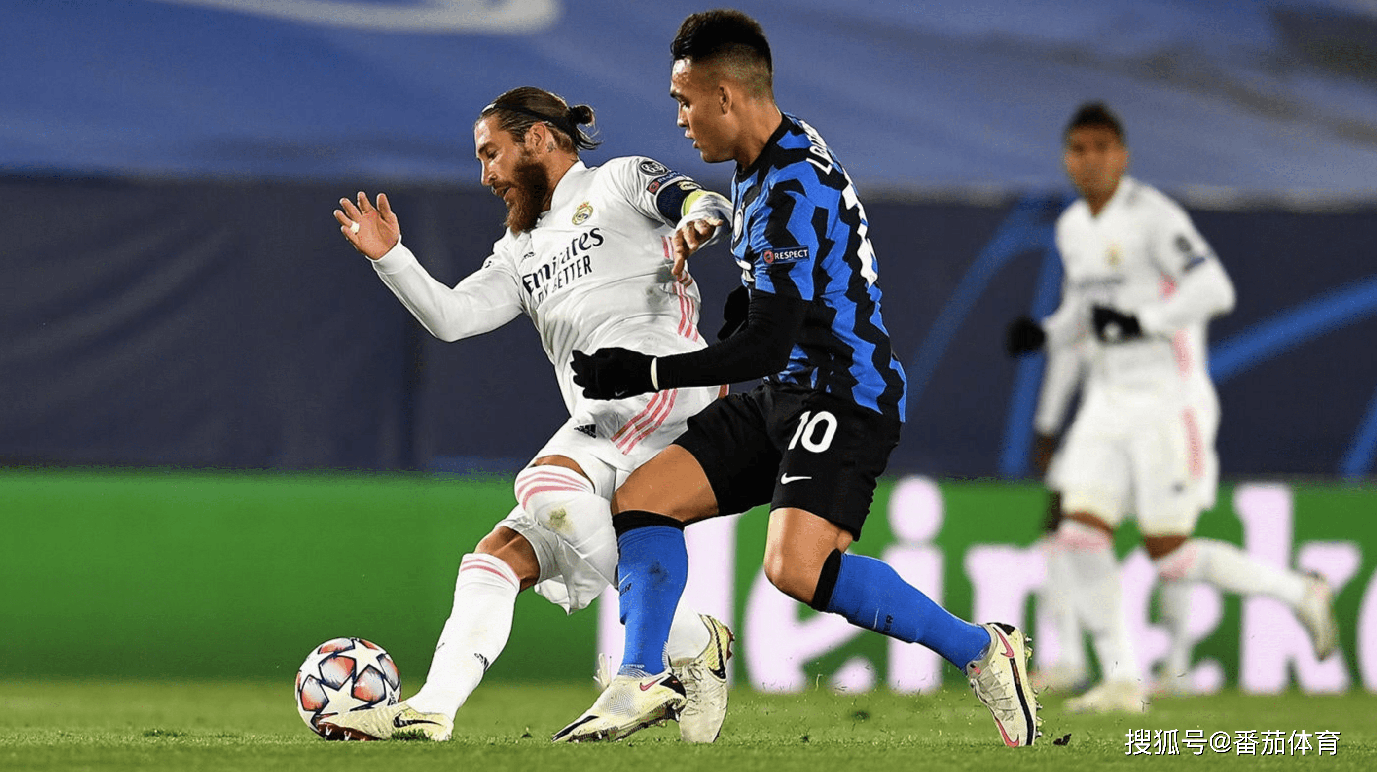 了橄榄枝 了橄榄枝