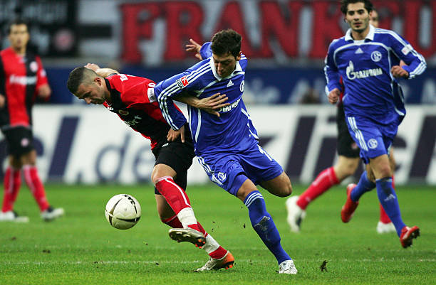 不仅丰富了 不仅丰富了