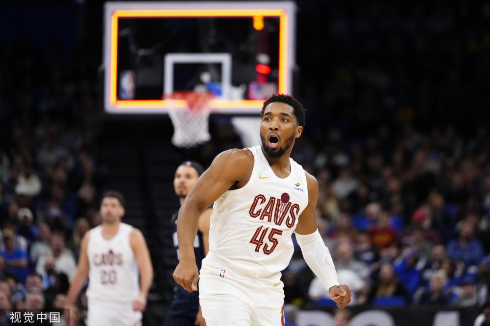 团队的精心 团队的精心